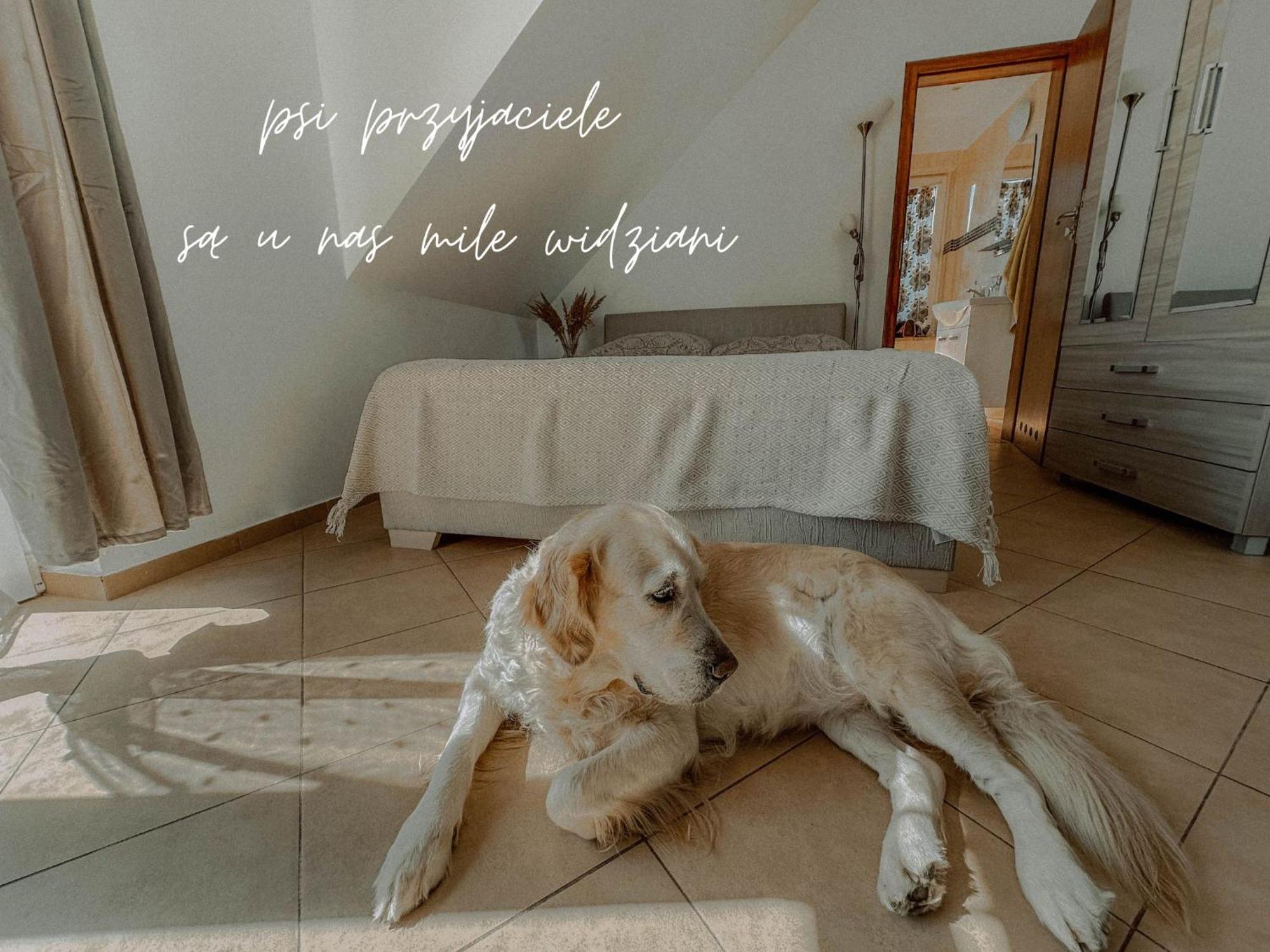 Boho Przystan Łazy Kültér fotó