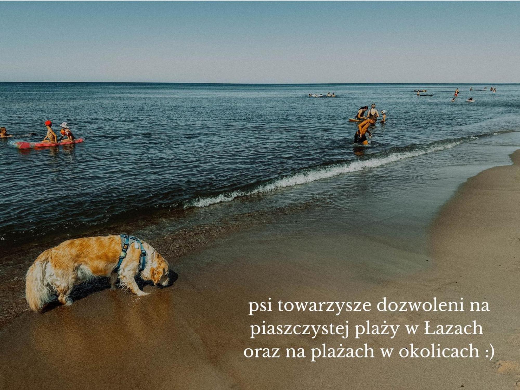 Boho Przystan Łazy Kültér fotó