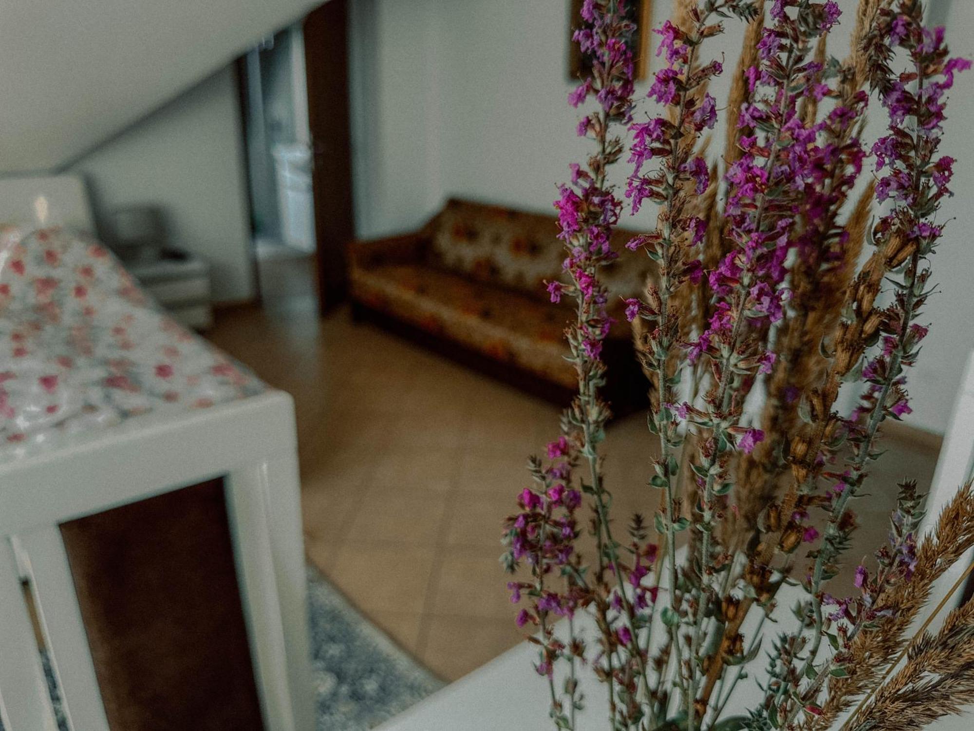 Boho Przystan Łazy Kültér fotó